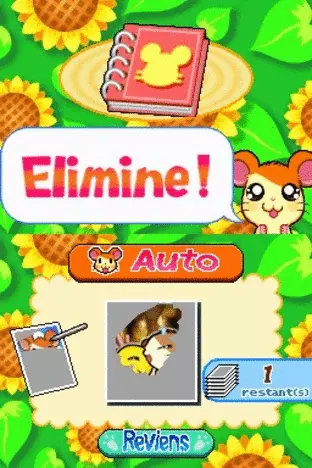 Image n° 4 - screenshots  : Hi! Hamtaro - Ham-Ham Challenge