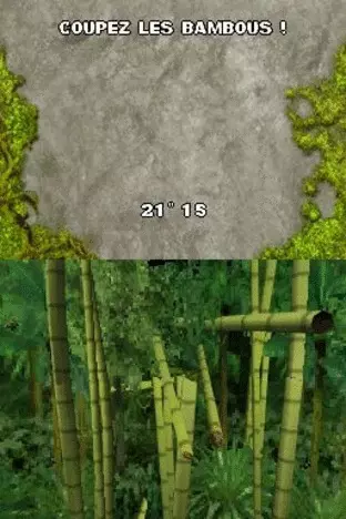 Image n° 5 - screenshots : Koh-Lanta - Survie dans la Jungle! Image n° 5 - screenshots : Koh-Lanta - Survie dans la Jungle!