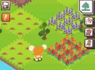 Image n° 5 - screenshots : Livly Garden Image n° 5 - screenshots : Livly Garden