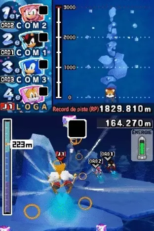 Image n° 5 - screenshots  : Mario & Sonic at the Olympic Winter Games