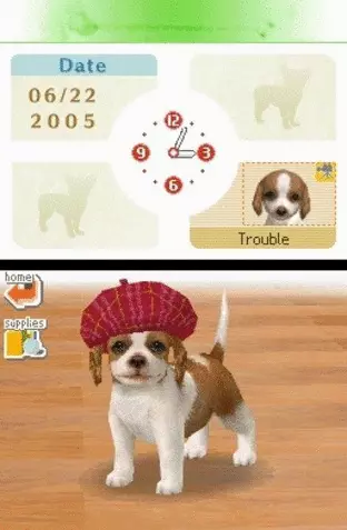 Image n° 4 - screenshots  : Nintendogs - Chihuahua & Friends (v01)