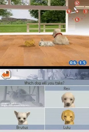 Image n° 5 - screenshots  : Nintendogs - Chihuahua & Friends (v01)