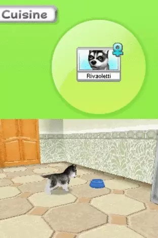 Image n° 3 - screenshots  : Petz - Dogz Pack