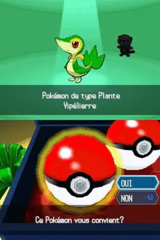 Image n° 3 - screenshots  : Pokemon - Version Noire (DSi Enhanced)