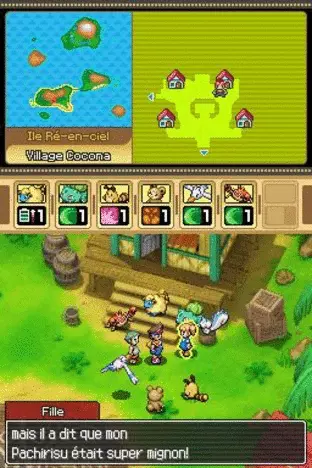 Image n° 3 - screenshots  : Pokemon Ranger - Guardian Signs