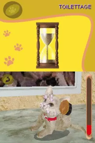 Image n° 4 - screenshots  : Purr Pals (AQ9X)