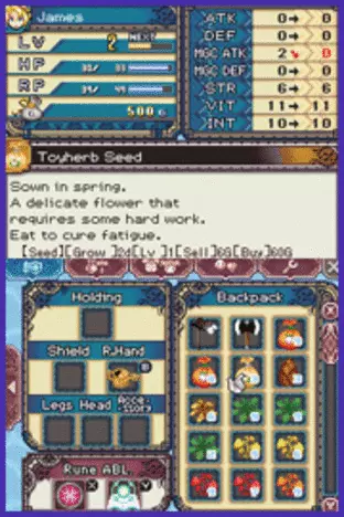 Image n° 5 - screenshots  : Rune Factory 3 - A Fantasy Harvest Moon