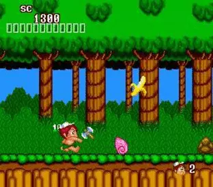 Image n° 5 - screenshots  : Adventure Island