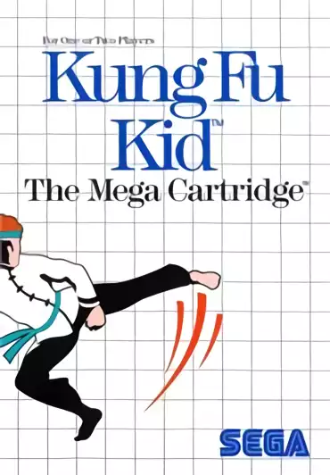 Image n° 1 - box : Kung Fu Kid