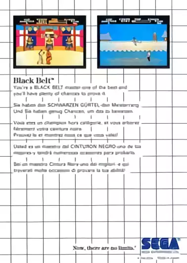 Image n° 2 - boxback : Black Belt