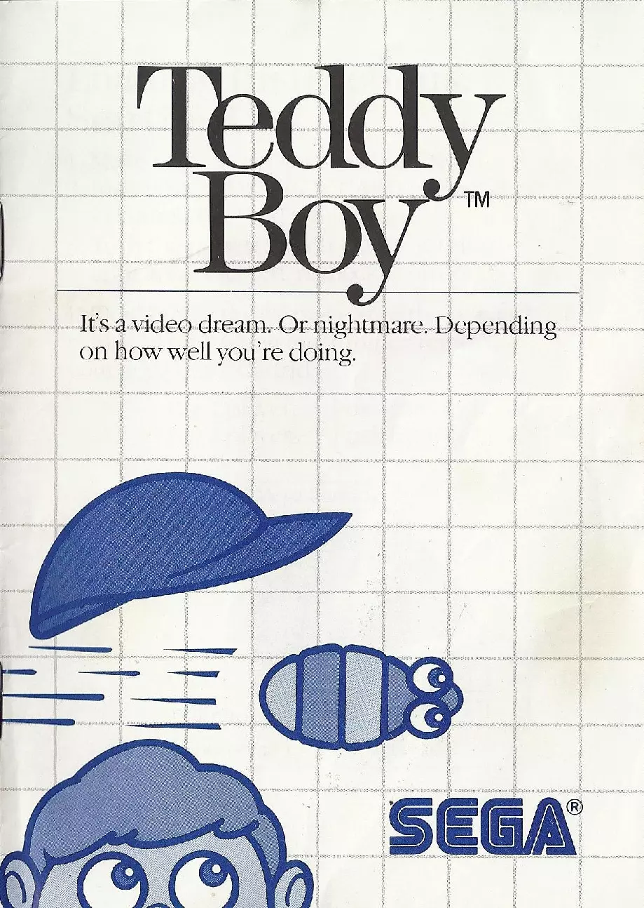 manual for Teddy Boy