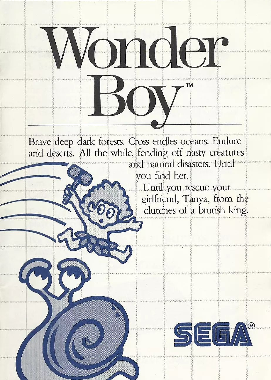 manual for Wonder Boy
