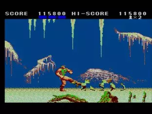 Image n° 6 - screenshots  : Altered Beast