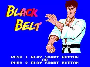 Image n° 4 - screenshots  : Black Belt