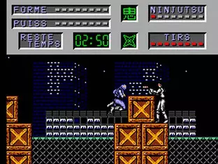 Image n° 2 - screenshots  : Cyber Shinobi, The