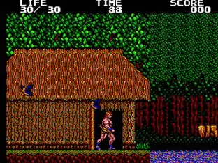 Image n° 8 - screenshots  : Danan the Jungle Fighter