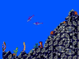 Image n° 5 - screenshots  : Ecco the Dolphin