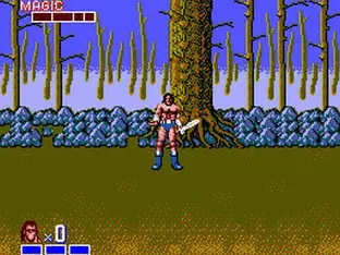 Image n° 6 - screenshots  : Golden Axe