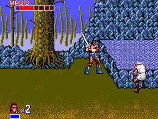 Image n° 5 - screenshots  : Golden Axe