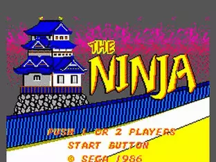 Image n° 1 - screenshots  : Ninja Princess