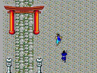 Image n° 4 - screenshots  : Ninja Princess