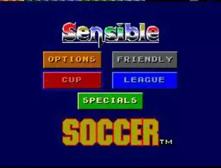Image n° 2 - screenshots  : Sensible Soccer