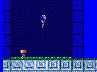 Image n° 9 - screenshots  : Sonic Chaos