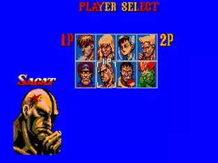 Image n° 4 - screenshots  : Street Fighter II