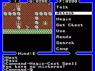 Image n° 6 - screenshots  : Ultima IV - Quest of the Avatar