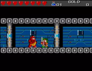 Image n° 5 - screenshots  : Wonder Boy III - The Dragon's Trap