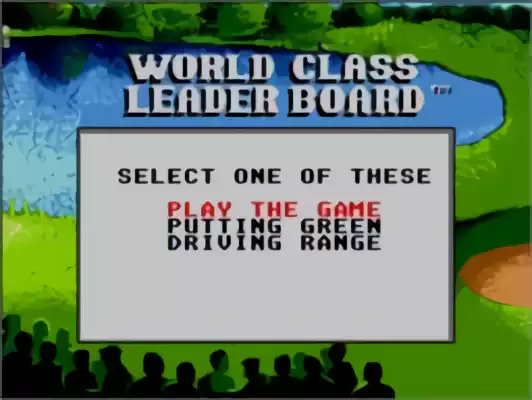 Image n° 8 - titles : World Class Leader board