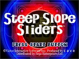 Image n° 3 - titles : Steep Slope Sliders