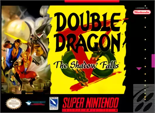 Image n° 1 - box : Double Dragon V - The Shadow Falls