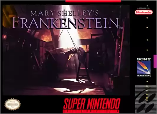 Image n° 1 - box : Mary Shelley's Frankenstein (Beta)