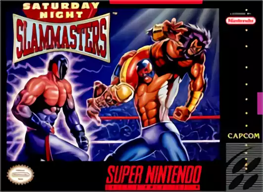 Image n° 1 - box : Saturday Night Slam Masters