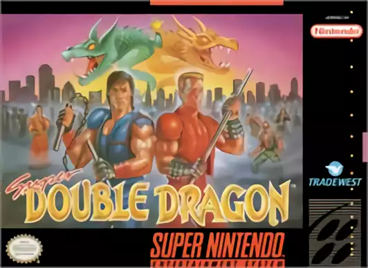 Image n° 1 - box : Super Double Dragon
