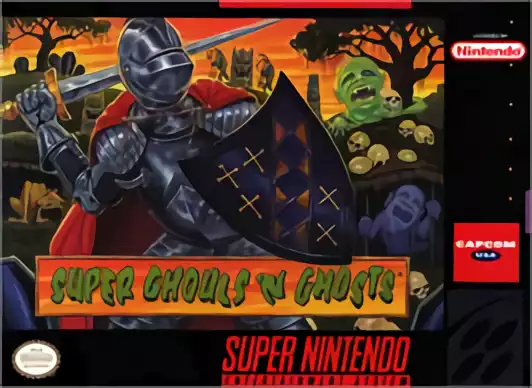 Image n° 1 - box : Super Ghouls 'N Ghosts