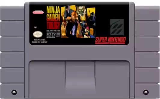 Image n° 2 - carts : Ninja Gaiden Trilogy