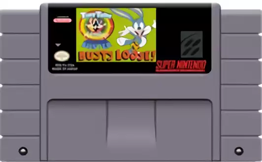 Image n° 2 - carts : Tiny Toon Adventures - Buster Busts Loose!