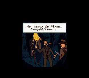 Image n° 1 - screenshots  : Adventures of Tintin, The - Prisoners of the Sun