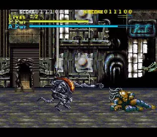 Image n° 3 - screenshots  : Alien vs. Predator