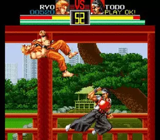 Image n° 3 - screenshots  : Art of Fighting