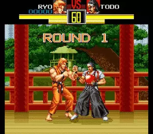 Image n° 8 - screenshots  : Art of Fighting