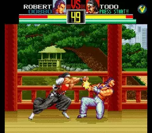 Image n° 5 - screenshots  : Art of Fighting