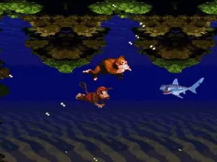 Image n° 6 - screenshots : Donkey Kong Country Image n° 6 - screenshots : Donkey Kong Country