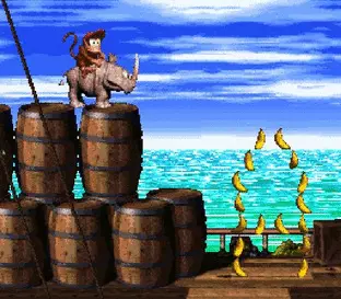 Image n° 5 - screenshots  : Donkey Kong Country 2 - Diddy's Kong Quest