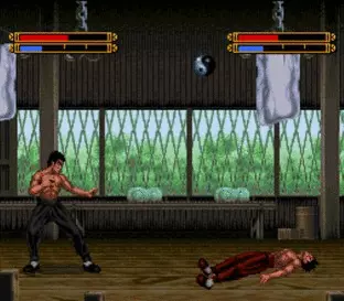 Image n° 5 - screenshots  : Dragon - The Bruce Lee Story