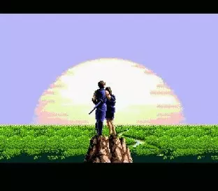 Image n° 3 - screenshots  : Ninja Gaiden Trilogy