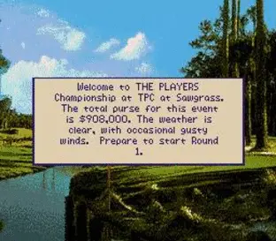 Image n° 8 - screenshots  : PGA Tour 96