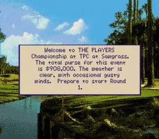 Image n° 8 - screenshots : PGA Tour 96 Image n° 8 - screenshots : PGA Tour 96